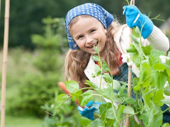 Expert advice can help you get the most joy out of your garden.