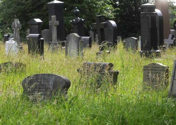 Marton burial ground, which has become overgrown