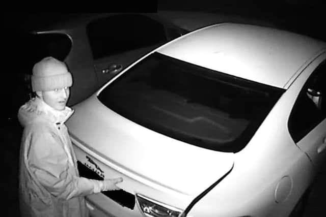 Snapshots of suspected car and van crime