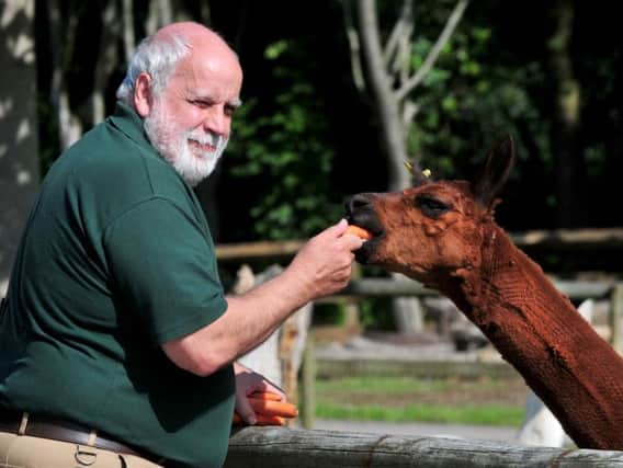 Animal manager Peter Dillingham gets up close with one of the animals