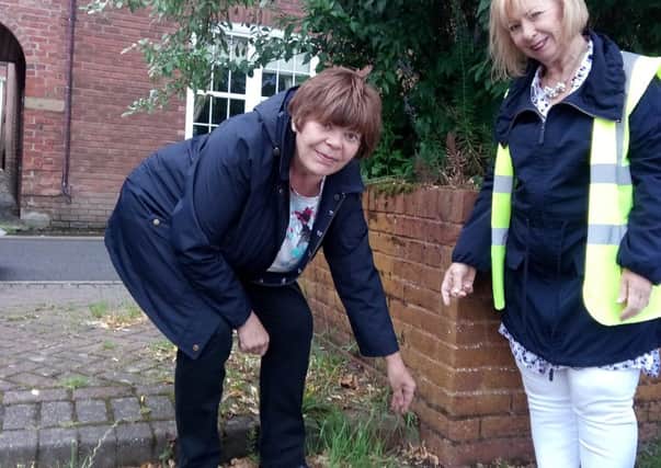Lytham In Bloom chairman Carol Wildon and vice-chairman Susan Evans have expressed concern over the proliferation of weeds around town as they prepare for the arrival of the North West In Bloom judges