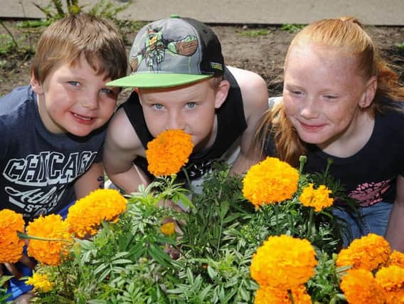 Tommy Anyon, Lucas Plowman and Georgia Anyon appreciate the community garden stall