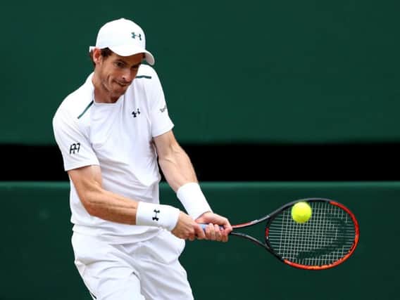 Andy Murray in Wimbledon action