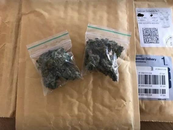 The suspected cannabis