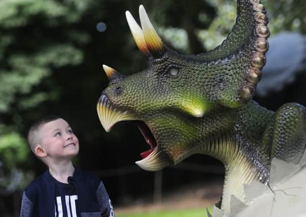 Dinosaurs at Jurassic Kingdom in Stanley Park.  Pictured is Lewis Geoghegan, aged 5.