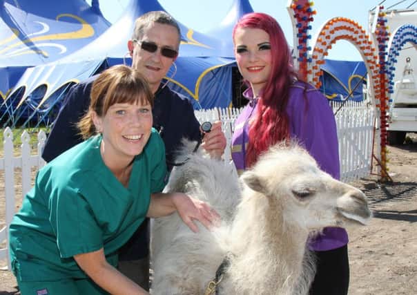 Norcross Vets had a welcome visit from a baby Bactrain camel called Kachama from the visiting Circus Mondao in 2015