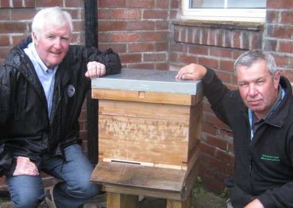 Alf Hayes and Kieth Urwin with one of their bee hives.