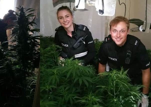 PC John Kingsley-Mills, right, with leading officer Jess Cooper, retrieving around 500 cannabis plants from a house on Edgeton Road