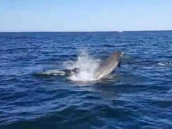Simon Redfearn, 47, from South Shore, was on his way to the Isle of Man in June when the pod of dolphins emerged just a few feet away from his boat.