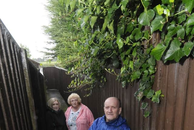 Residents on St Thomas' Close are fed up of overgrown trees in their back gardens which are not being trimmed.  Pictured are Pauline Andrew, Kath Barker and Ian Andrew.