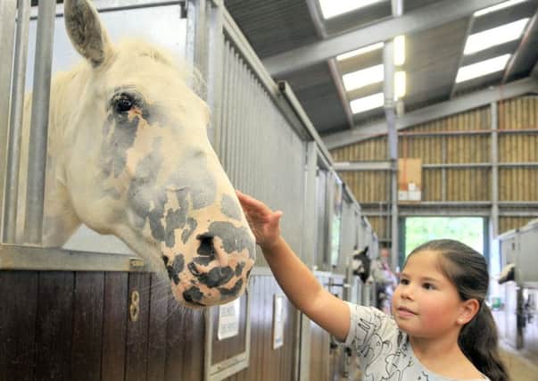 Eight year old Francesca Ruscitti from Blackpool with 'Dolly' at Penny Farm Open Day