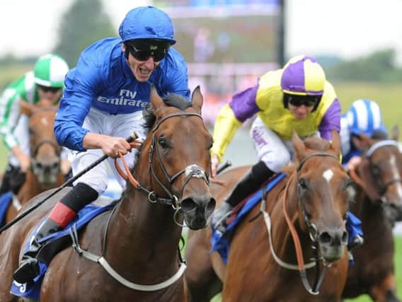 Harry's Angel (blue) favourite for Saturday's big race