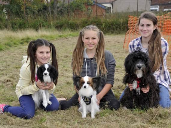 Ebony Butterworth, 10 with Rosie from Singleton, Jessica Ardron, 13 with Bailey from Poulton and Laila Butterworth, 14 with Sprocket from Singleton at the Cleveleys Dog show to raise money for Dogs for Good Pics: DONNA CLIFFORD