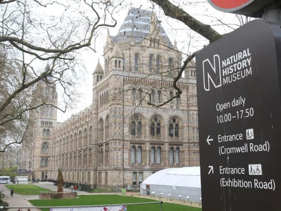 The incident took place near the Natural History Museum