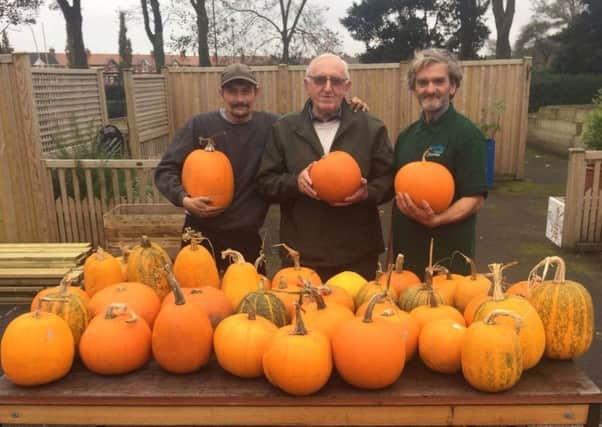Les Fletcher (centre), chairman of the Friends of Memorial Park, with park gardeners Paul Howorth (left) and Steve Toner as they prepare for the annual pumpkin carve event.