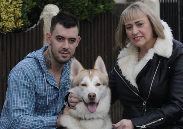 Adam Underdown and Julie Wheatley have set up a JustGiving page to raise money for their dog Diesel, who needs a hip replacement.