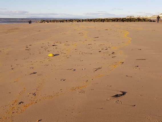 Some of the suspected palm oil at Cleveleys (Pic: Wyre Council)