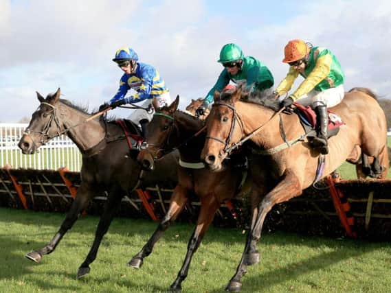Delire D'Estruval (centre) takes the last on the way to victory