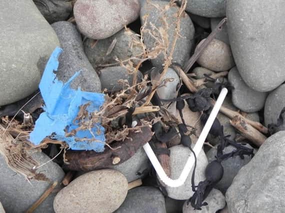 Plastic straws are a common sight on our beaches