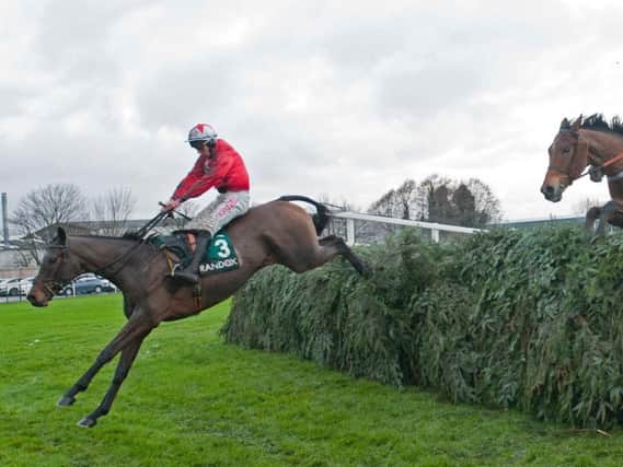 Blaklion soars over the last on his way to victory