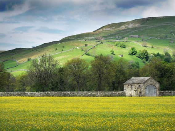 Meadow of buttercups and and Dales barn in Swaledale