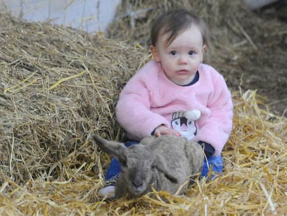 Ellexia Cooper with her pet lamb