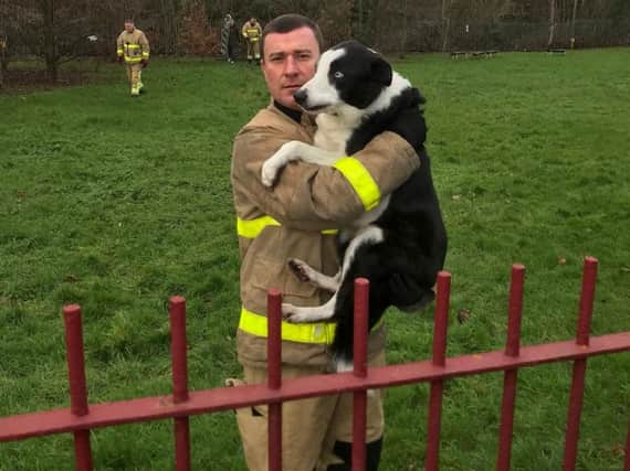 Firefighter Stuart Higson with the rescued border collie (Picture: Bispham Fire Station/Twitter)
