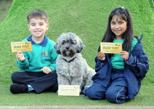 Revoe school therapy dog Poppy is giving golden tickets to pupils with 100% punctuality.  Poppy is pictured with Karis Connelly, 5 and Jannat Hussain, 7.
