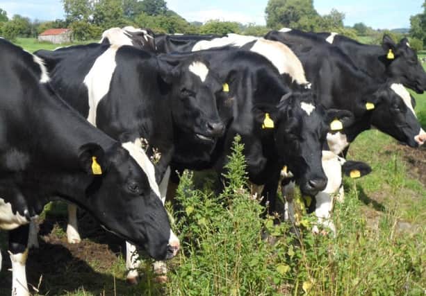 The Environment Agency said it is working hard to reduce pollution incidents at Lancashire farms