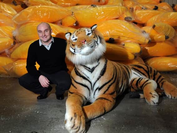 Paul Jelley of Playtime UK and Stuff It, with the largest size of tiger. A smaller version caused an armed police response when found on a Scottish farm.