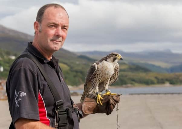 Andrew Higgins with his peregrine falcon, Skye, who has gone missing.