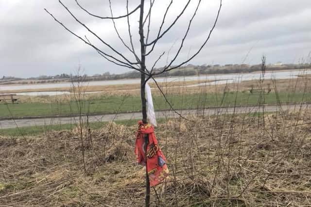 The crab apple tree planted in memory of Charlie Jordan
