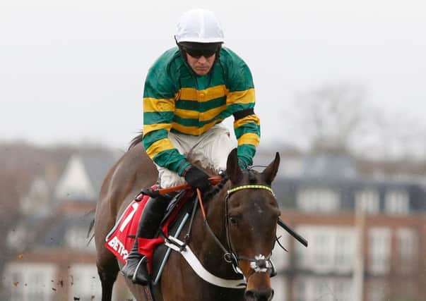 Buveur D'Air is in action at Cheltenham