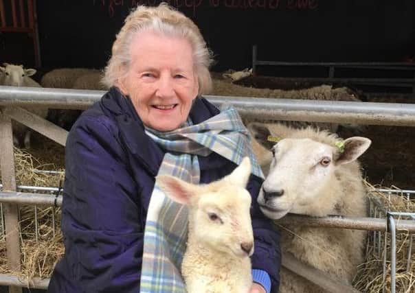 Grandma Parr (Margaret Parr) with Stormzi, a lamb born at Farmer Parr's Animal World, and sheep Baa-Linda