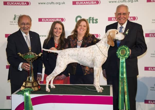 20180311 Copyright Flick.digital
Free for editorial use image, please credit: Flick.digital


Picture shows Joanne Blackburn-Bennett from Blackpool with Chilli a Pointer, who won Best in Group (Gundog) and was also the Best of Breed winner today, (Sunday 11.03.18), the fourth and final day of Crufts 2018, at the NEC Birmingham.


Crufts is the world's greatest dog show and this year will see more than 21,000 healthy, happy dogs competing for the coveted 'Best in Show' title as well as taking part in the many other competitions that take place at the show, from Agility and Flyball to the hero dog competition Eukanuba Friends for Life and Scruffts Family Crossbreed of the Year. Crufts 2018 runs from the 8th to the 11th March at the NEC, Birmingham.

Crufts is the perfect opportunity for dog lovers meet around 200 breeds of dog, find out how to go about getting a dog, and to find out about activities and competitions they can get involved in with their own dog.

For further images, please go to: www.Flick.media/