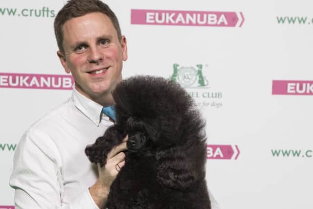 20180310 Copyright Flick.digital
Free for editorial use image, please credit: Flick.digital


Picture shows Tom Isherwood from Blackpool with Al a Poodle (Toy), which was the Best of Breed winner today, (Saturday 10.03.18), the third day of Crufts 2018, at the NEC Birmingham.


A rescue Border Terrier who has completely changed his owner's life by helping her deal with complex mental health illnesses; a hearing dog who has become the 'ears' for his young owner and helped her reconnect with everything around her; a search and rescue dog who has spent his life working in adverse conditions to help find missing persons, from murder enquiries to a helicopter crash; an assistance dog who has become a lifeline for a lady with Ehelers Danlos syndrome and undertakes over 100 different tasks for his owner, from picking up the phone to loading and unloading the washing machine; and a Shih Tzu who taught himself how to be an assistance dog and has given unending support to his owner through serious illness and given her
