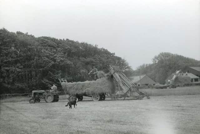 Historical undated farming scene in Wrea Green