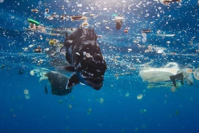 The BBC documentary Blue Planet II, presented by David Attenborough, inset, made problem plastics an international talking point, and led to a tidal wave of change (Pictures: BBC)