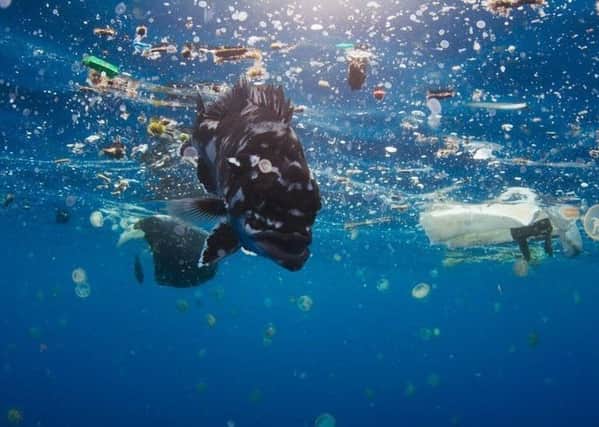 The BBC documentary Blue Planet II, presented by David Attenborough, inset, made problem plastics an international talking point, and led to a tidal wave of change (Pictures: BBC)