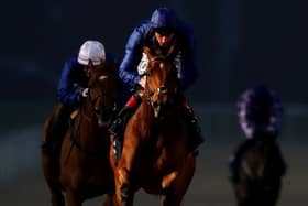 Wolverhampton is one of three venues hosting racing tomorrow