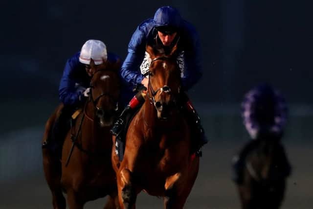 Wolverhampton is one of three venues hosting racing tomorrow