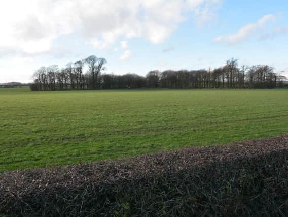 Roseacre Wood where a second fracking site may be constructed if a planning inquiry grants permission