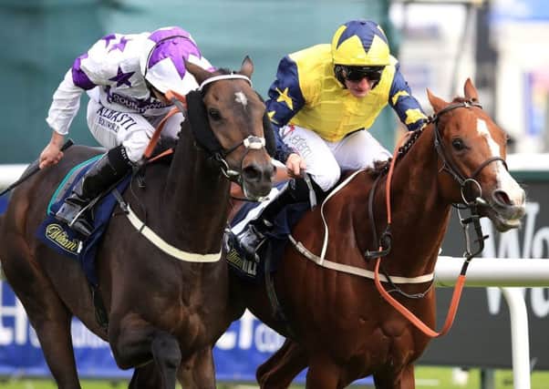 Time To Study (right) is fancied to shine at Nottingham