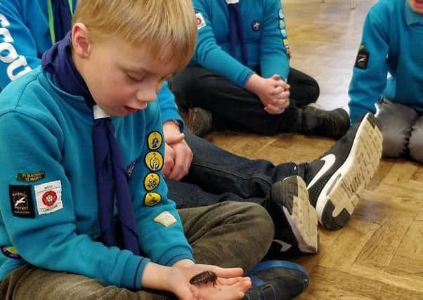 Youngsters from 3rd Blackpool Beavers and Cubs faced their fears when Little Zoo to You visited the group.