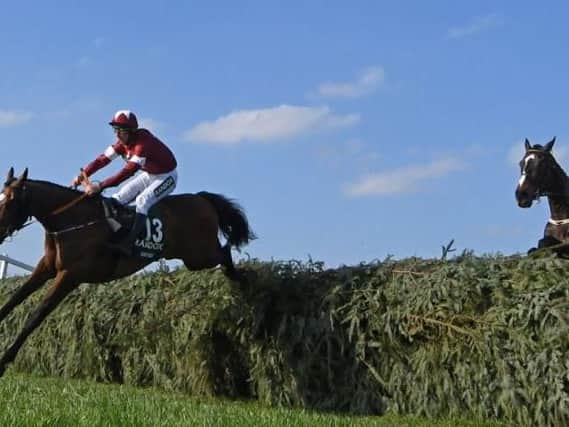 Tiger Roll clears the last to win the Grand National
Picture: BRIAN CLARK