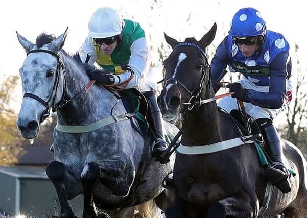 Vintage Clouds (left) is backed to shine at Ayr on Saturday