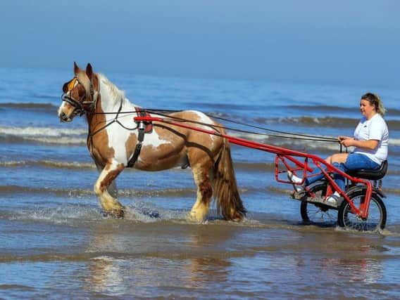 Hercules the Blackpool horse cools down in the sea, on what is expected to be the hottest day of the year so far.
Photo; PA