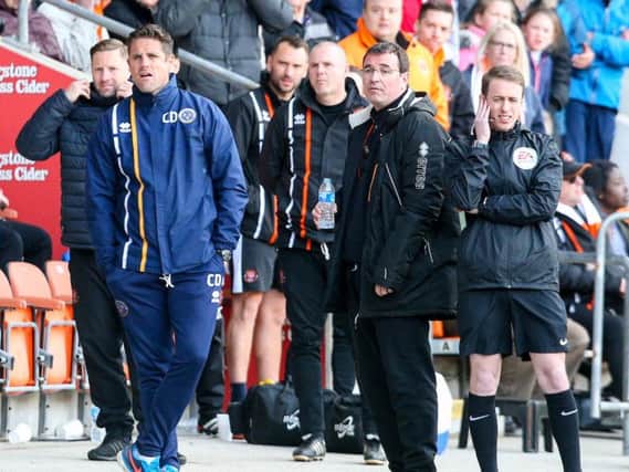 Gary Bowyer watches on to see if Nathan Delfouneso's goal will stand
