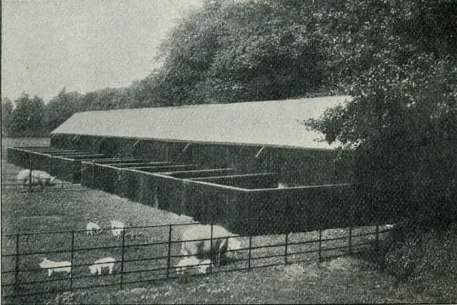 The Piggeries at Lancashire's Agricultural College at Hutton (Royal Lancashire Agricultural Society Catalogue 1905)