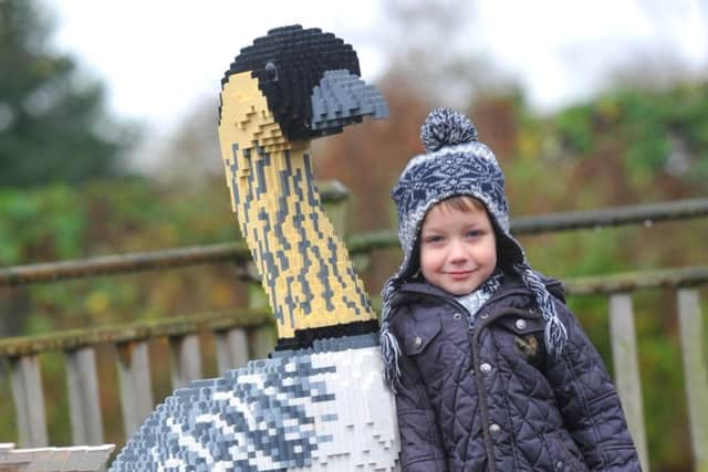 Oliver Dargie, with Natalie the Nene, at WWT Martin Mere Wetland Centre, Lancashire, with the giant Lego brick animals